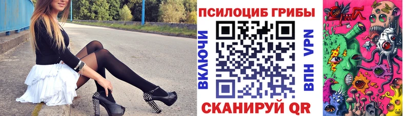 Псилоцибиновые грибы Cubensis  сколько стоит  Почеп 