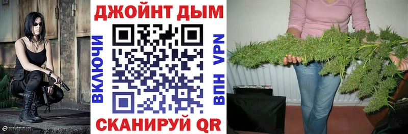 Шишки марихуана сатива Почеп